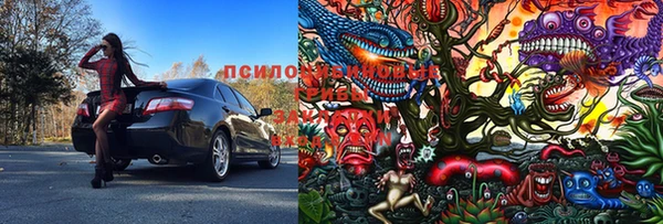 PSILOCYBIN Новокубанск