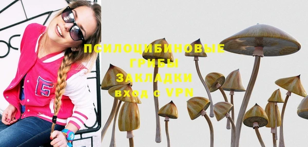 MDMA Аркадак