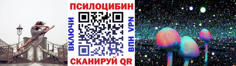 продажа наркотиков  Сасово  Галлюциногенные грибы GOLDEN TEACHER 